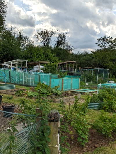 Filnore Allotments