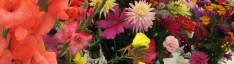 Thornbury and District Flower Association