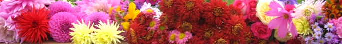 Thornbury and District Flower Club
