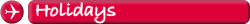 Holidays and Travel Agents